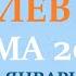 ЛЕВ ЗИМА 2025 таро прогноз гороскоп на декабрь 2024 январь 2025 февраль 2025 расклад 7 планет