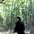 YABUJIN HOES IN THE FOREST