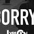 Alan Walker ISÁK Sorry Lyrics