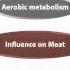 Post Mortem Muscle Chemistry 1 Loss Of Homeostasis Post Mortem Glycolysis