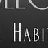 3 The Habit Of Going The Extra Mile Napoleon Hill