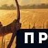 аудиокнига полная Право сильного Так интересно что не оторваться