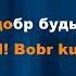 Слава Скрипка Бобр Зимний сон Караоке