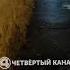 Лиса выглядывает из дома Shorts