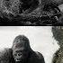 King Kong Side By Side 1933 Film 2005 Film Comparison V2