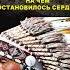 Индейская мудрость Взгляд может Индейские цитаты
