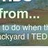 128 Academic Words Ref From What To Do When There S A Polar Bear In Your Backyard TED Talk