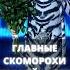 Главные скоморохи российского шоу бизнеса Shorts