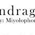 Mandragora By Miyolophone Piano Sheet Music