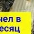 Пчеловодство для новичков как проходит зимовка пчел в погребе и на улице Матковод амг