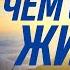 Каждый день ОДНО И ТОЖЕ В чём СМЫСЛ ЖИЗНИ человека Осипов Алексей Ильич