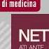 Netter Atlante Di Anatomia Umana