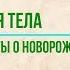 12 интересных фактов о новорождённых История тела