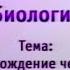 Биология Урок 7 Неандертальцы и кроманьонцы