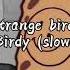 Strange Birds Birdy Slowed