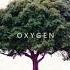 Kygo Oxygen NEW SONG 2022