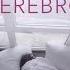SEREBRO Сломана текст песни