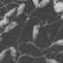 Dimmu Borgir Interpretation Absolute Sole Right