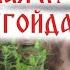 Почему Славянская МИФОЛОГИЯ самая лучшая ГОЙДА ГОЙДА ГОЙДА