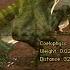 Carnivores Dinosaur Hunter 6000 Credit Game Coelophysis Kill All