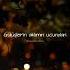 Perdenin Arasındakiler Her Gece