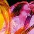 Deep Purple Live In Fukuoka 1975 Full Album