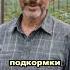Супер подкормка для ваших помидоров огород сад дача томаты помидоры