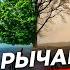 4 РЫЧАГА которые изменят твою жизнь Используй их и ты будешь СЧАСТЛИВ
