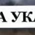 Abdukarim Mirzayev Aka Uka Edeal Tv