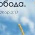 Условия свободы Н П Дуденков Проповедь МСЦ ЕХБ