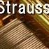 Radetzky March Johann Strauss Sr Music Box