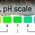 How To ACTUALLY Adjust Garden Soil PH ZERO BS