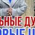 АЛЬБИНА УДИВЛЯЕТ ШОКОВЫЕ ЦЕНЫ НА НАТУРАЛЬНЫЕ ДУБЛЕНКИ ИЗ ТУРЦИИ У АЛЬБИНЫ садовод