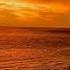 4BEL Dandelion Burdock Shorts Lofi LofiHipHop Waves FY Edit Sky Sea Sunset Ocean