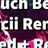 Avicii So Much Better Slowed Reverb