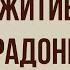 Житие Сергия Радонежского Краткое содержание