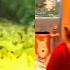 Winnie The Pooh HORROR Winnie The Pooh Short Horror Film Blood And Honey