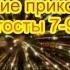 Короткие прикольные тосты 7 9 на день рождения на юбилей