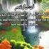 Surah At Tariq Ayat 9 14 Powerful Quranic Message Urdu English Translation Quran Shorts