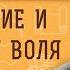 Как сочетать ВОСПИТАНИЕ и СВОБОДНУЮ ВОЛЮ РЕБЁНКА Священник Павел Островский