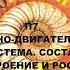 П7 ОПОРНО ДВИГАТЕЛЬНАЯ СИСТЕМА СОСТАВ СТРОЕНИЕ И РОСТ КОСТЕЙ БИОЛОГИЯ 8 КЛАСС АУДИОУЧЕБНИК