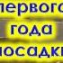 Основные ОШИБКИ первого года ПОСАДКИ САЖЕНЦЕВ в саду