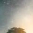 Cris Delanno Isn T She Lovely