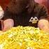 THIS 10LB SHEPHERD S PIE CHALLENGE IN MILWAUKEE HAS BEEN FAILED OVER 200 TIMES BeardMeatsFood