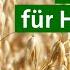 Bio Hafer Anbau Republish Unser Land BR Fernsehen