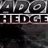 GameCube Shadow The Hedgehog 2005 Sega Intro Opening