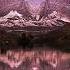 The Temper Trap Sweet Disposition John Summit Silver Panda Extended Remix