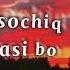 Asl Wayne OVO Lyrics TEXT Karaoke Follow And Like Comment S Pls