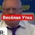 Хорошая погода любая погода Весёлая Утка