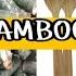 Bamboo Craft How To Make Bamboo Fork Spoon At Home It S Amazing Product